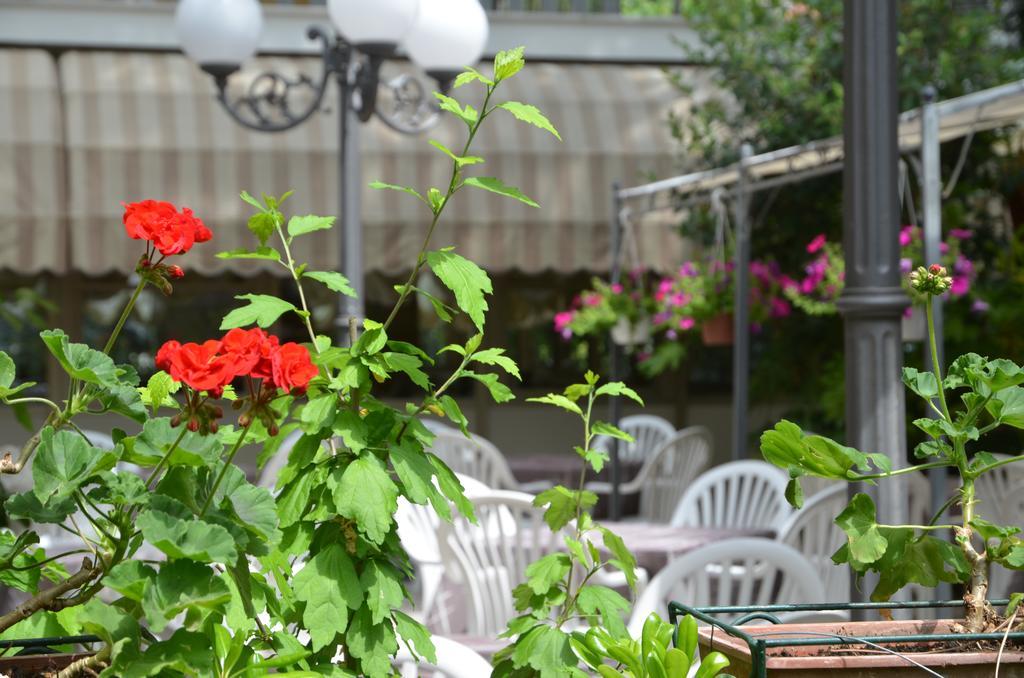 Hotel Monique Червия Екстериор снимка